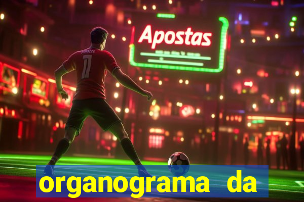 organograma da cacau show