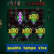 quanto tempo vive um sapo