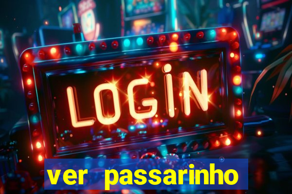 ver passarinho morto significado