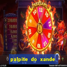 palpite do xande de hoje