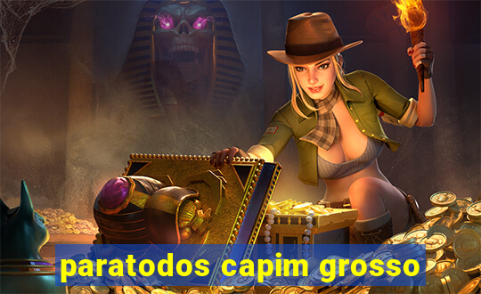 paratodos capim grosso