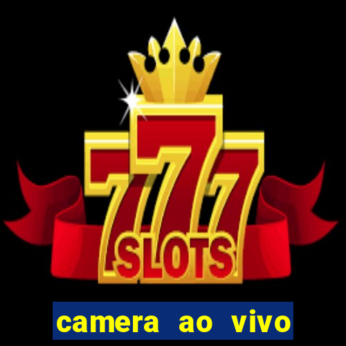camera ao vivo terminal vila nova cachoeirinha