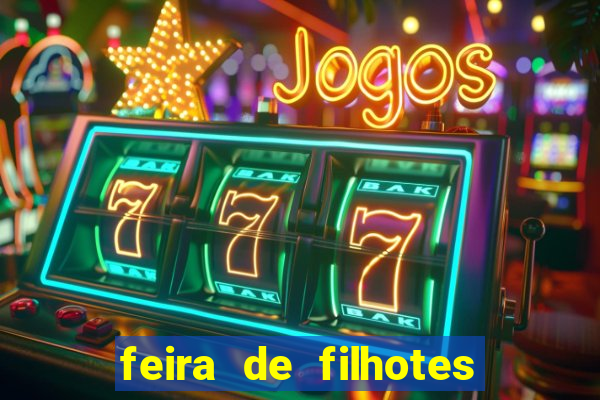 feira de filhotes porto alegre
