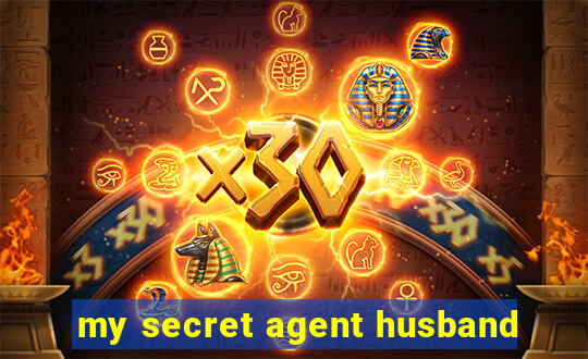 my secret agent husband
