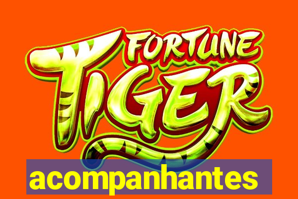 acompanhantes masculino salvador