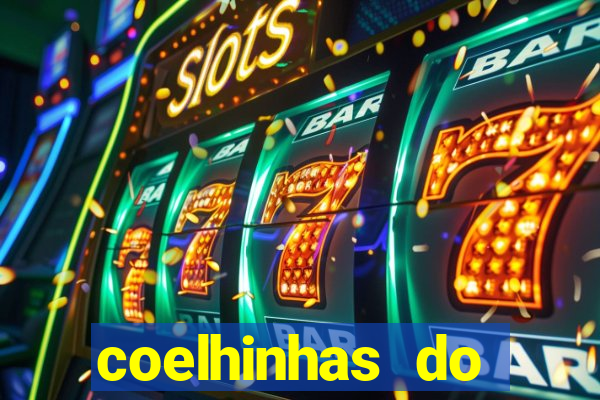coelhinhas do brasil recife