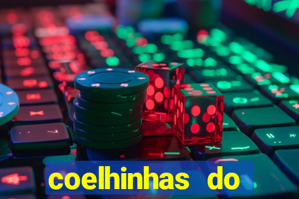 coelhinhas do brasil recife