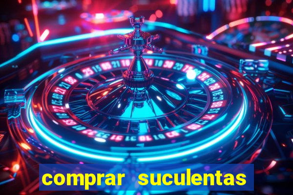 comprar suculentas direto do produtor