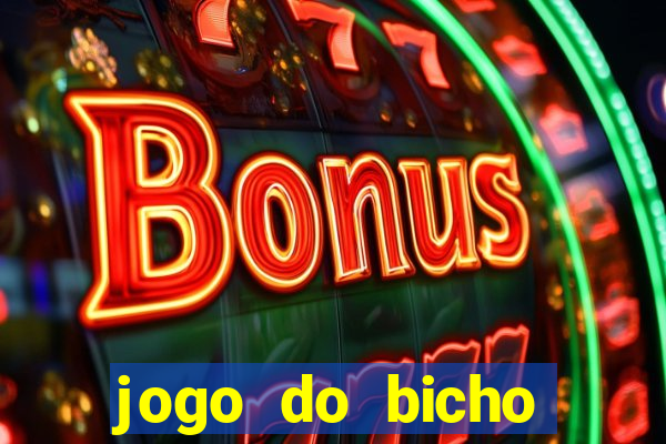 jogo do bicho crash bingo