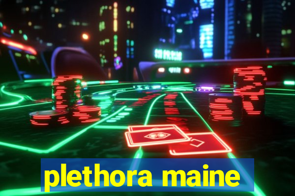 plethora maine