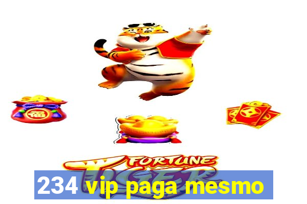 234 vip paga mesmo