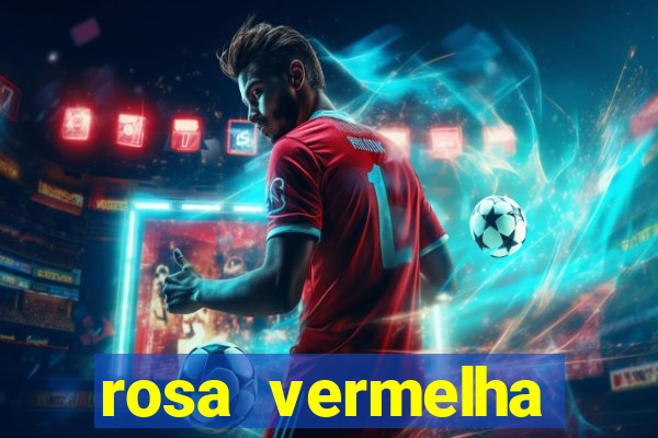 rosa vermelha (letra e cifra)