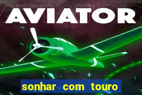 sonhar com touro bravo no mundo espiritual