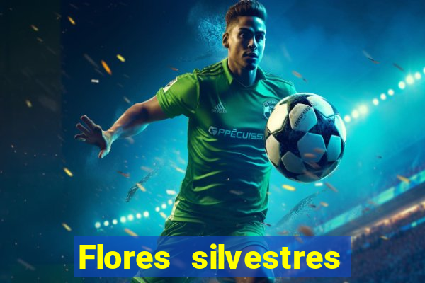 Flores silvestres brasileiras 25