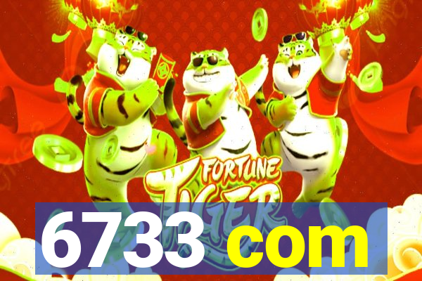 6733 com