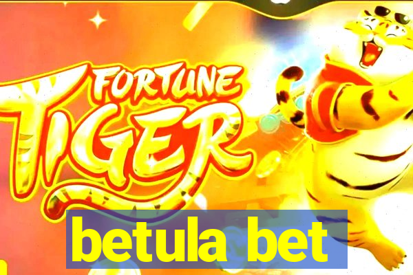 betula bet