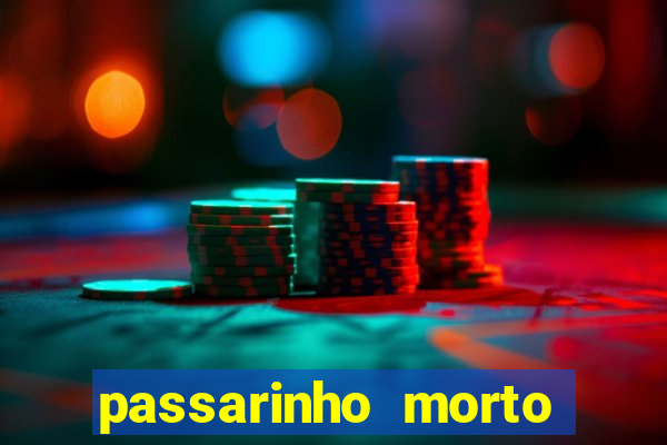 passarinho morto significado espiritual