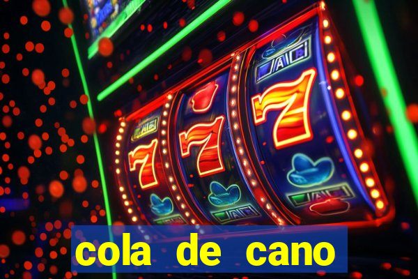 cola de cano quanto tempo para secar