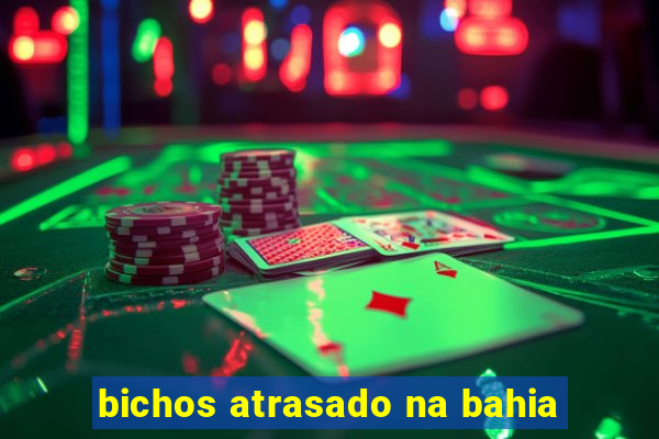 bichos atrasado na bahia