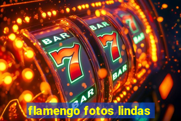 flamengo fotos lindas