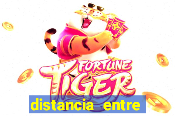 distancia entre porto alegre e pelotas