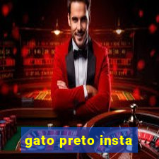 gato preto insta