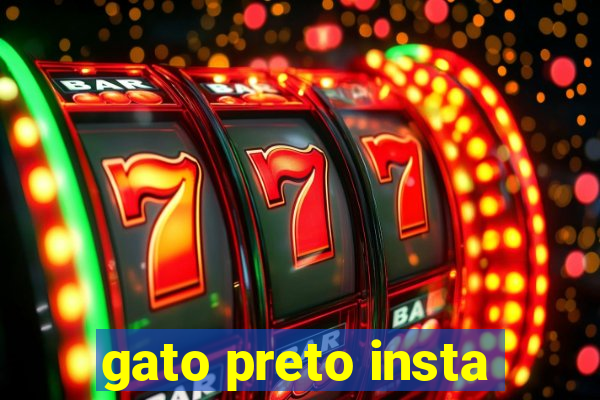 gato preto insta