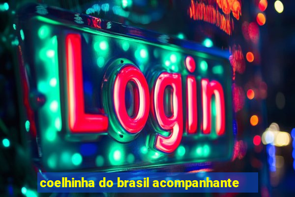 coelhinha do brasil acompanhante