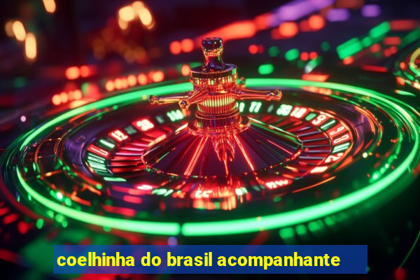 coelhinha do brasil acompanhante