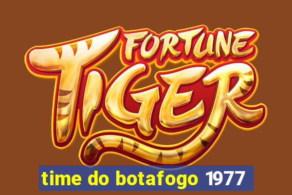 time do botafogo 1977