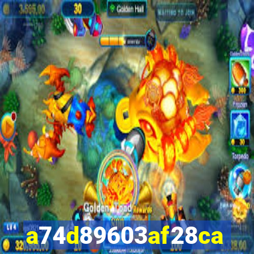 648 bet