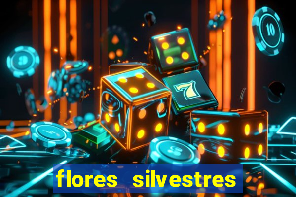 flores silvestres desbravadores desbravadores 25