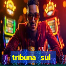 tribuna sul fluminense volta redonda