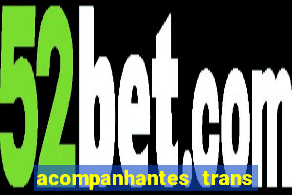 acompanhantes trans baixada fluminense