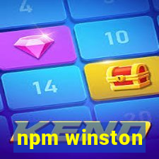 npm winston