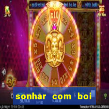 sonhar com boi jogo do bicho