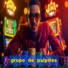 grupo de palpites de futebol telegram