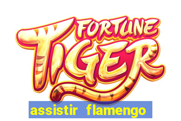 assistir flamengo sem travar