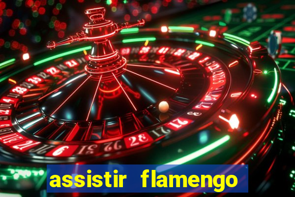 assistir flamengo futebol play hd