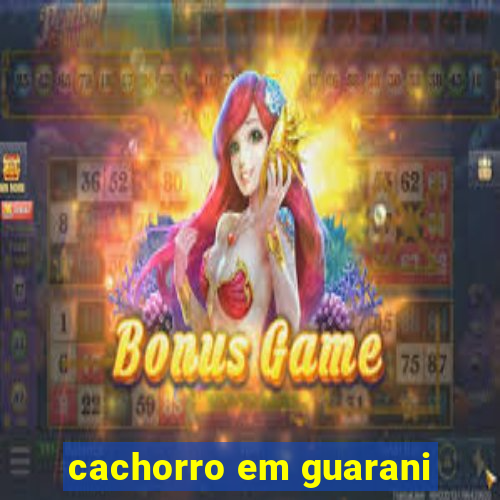 cachorro em guarani
