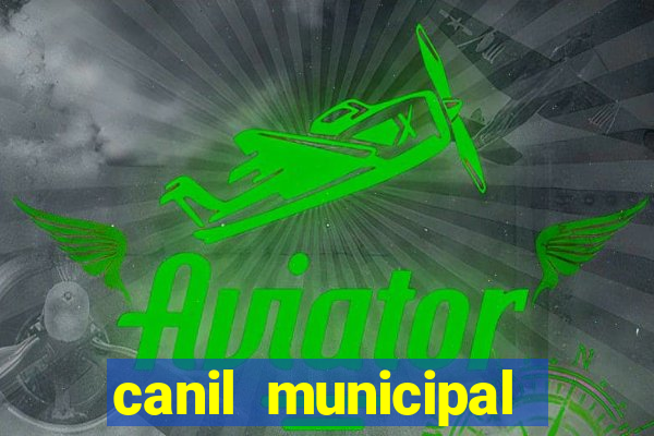 canil municipal porto alegre