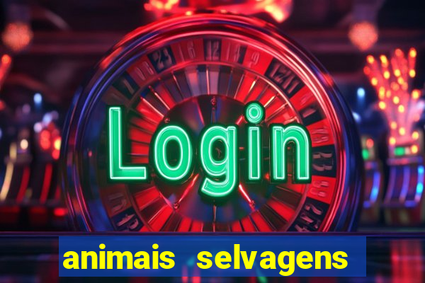 animais selvagens fotos e nomes