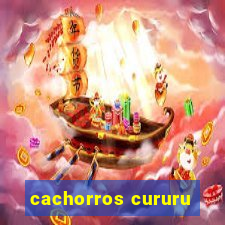 cachorros cururu