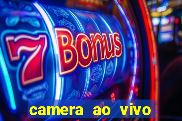 camera ao vivo porto rico