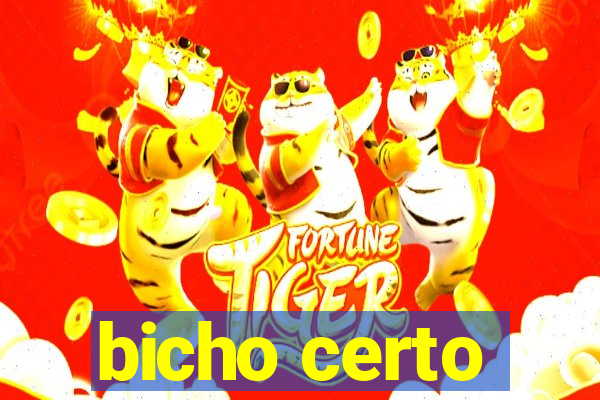 bicho certo
