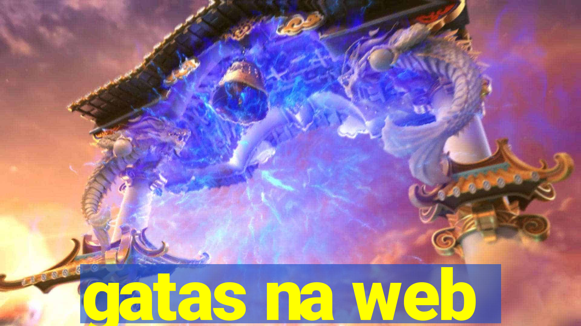 gatas na web